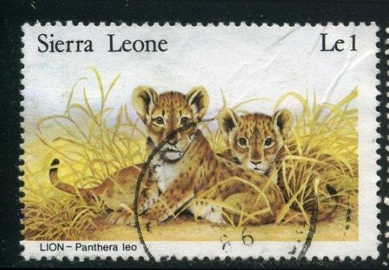 Сьерра-Леоне 1981 Фауна Африки Кошки Львята (Panthera leo) Гаш