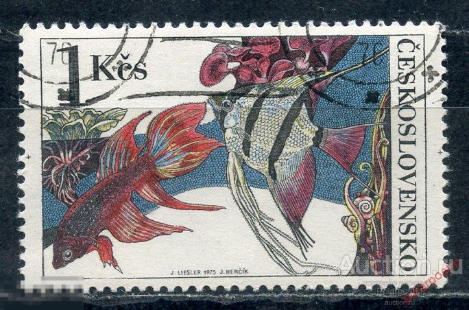 Y85 ЧЕХОСЛОВАКИЯ (ЧССР) 1975 2261 Аквариумные рыбки. Фауна 