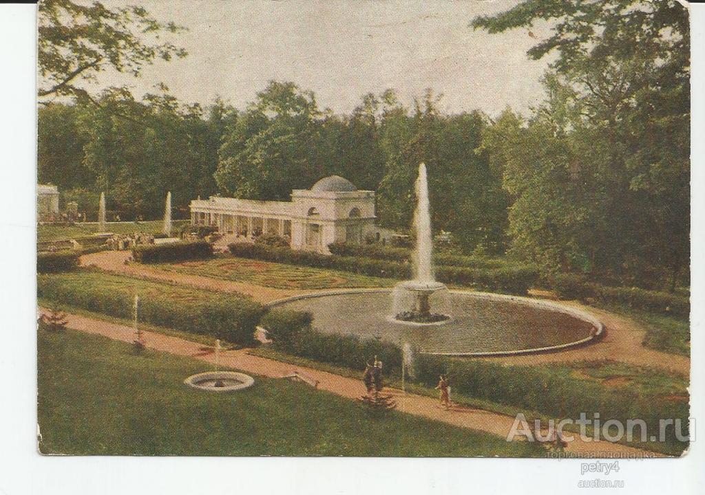 21886.Петродворец.Большие цветники и фонтан "Чаша".