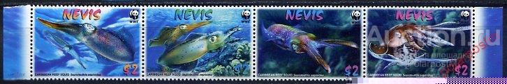 НЕВИС 2009 2380-2383 WWF - Карибский рифовый кальмар. Морская фауна 