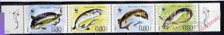 Болгария 2004 4678-4681 WWF Рыба - Охрана природы - Европейский осетр. Фауна 