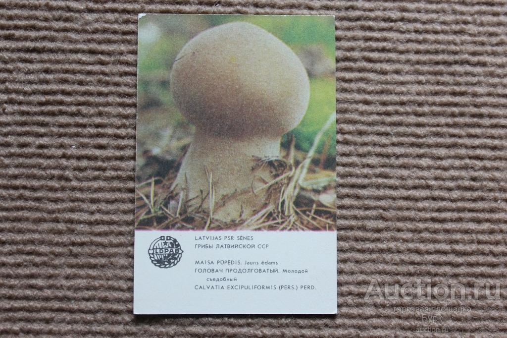 Карманный календарик 1986 Грибы Латвийской ССР