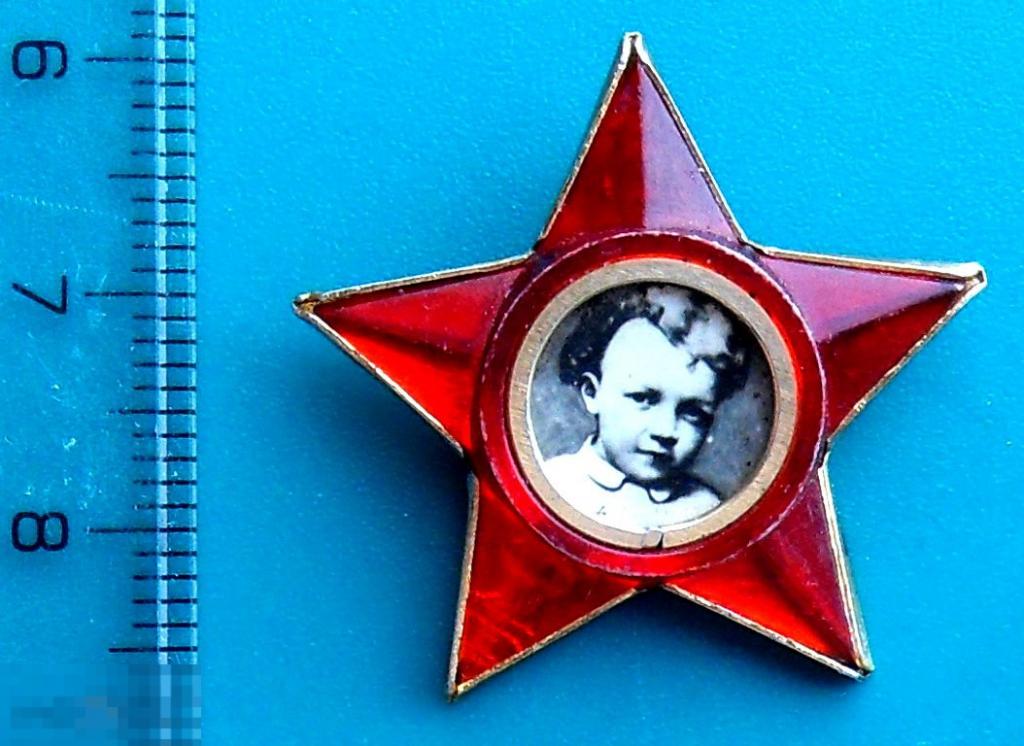 Как выглядит октябренка цветок