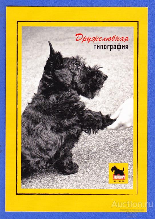 Скотч терьер   Собака      Календарик  2015     типография юмор