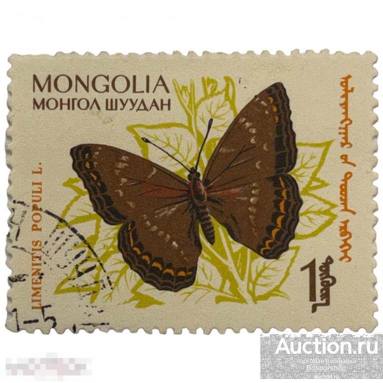 Почтовая марка Монголия 1 тугрик 1963 г. Крупный зимородок. Серия: Бабочки 