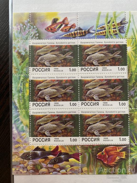 Аквариумные рыбки. Россия 1998г.