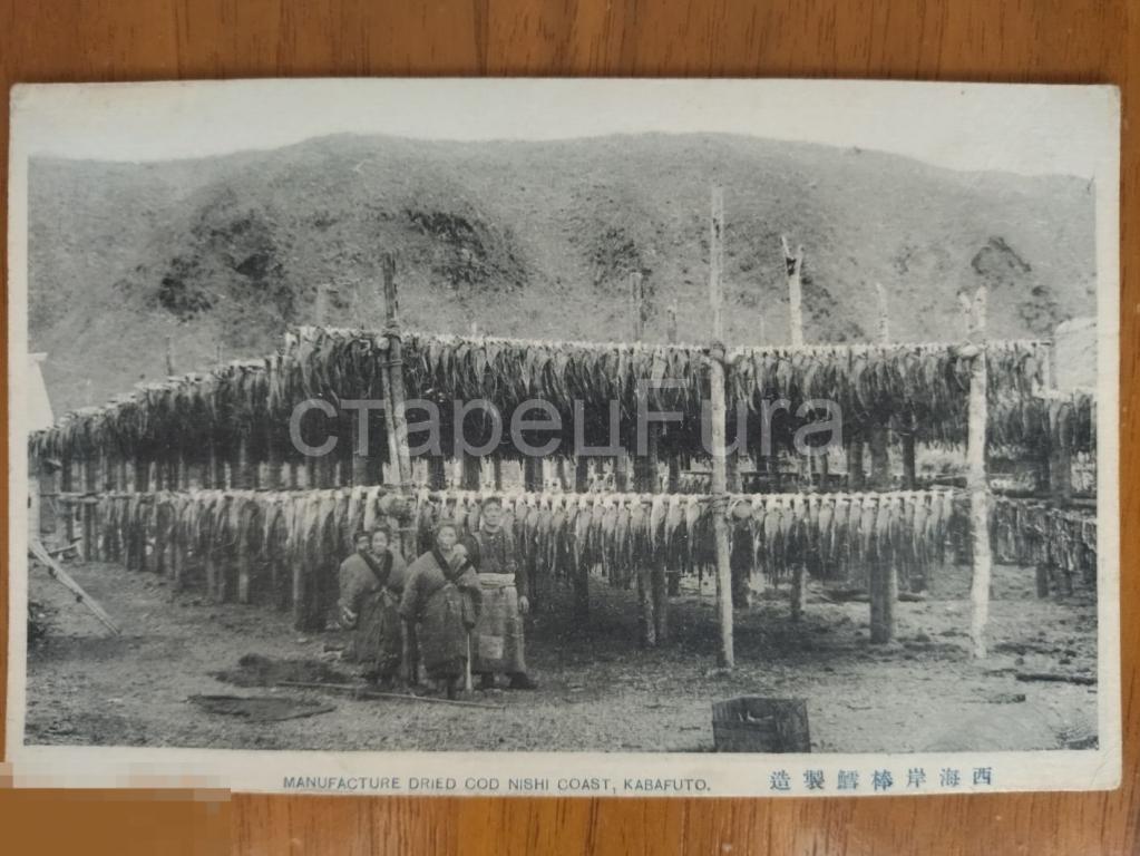 САХАЛИН. КАРАФУТО. ВЯЛЕНИЕ РЫБЫ. ЯПОНСКАЯ ОТКРЫТКА. ВСЕГО БОЛЕЕ 350 ОТКРЫТОК. СМОТРИТЕ МОИ ЛОТЫ! 