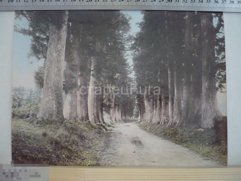 Большая, цветная фотография Япония конец ХIХ века 