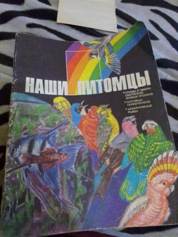 Наши питомцы. Птицы и звери-обитатели живых уголков. Питомцы террариумов. Аквариумные рыбы, 1987 