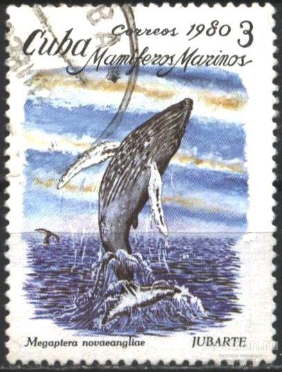 Куба Гашеная марка Фауна Горбатый Кит 1980