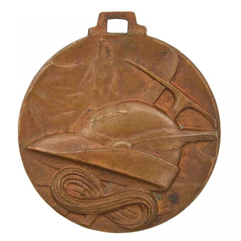 Медаль 6-ой альпийской дивизии «Гриф», Италия (89837)