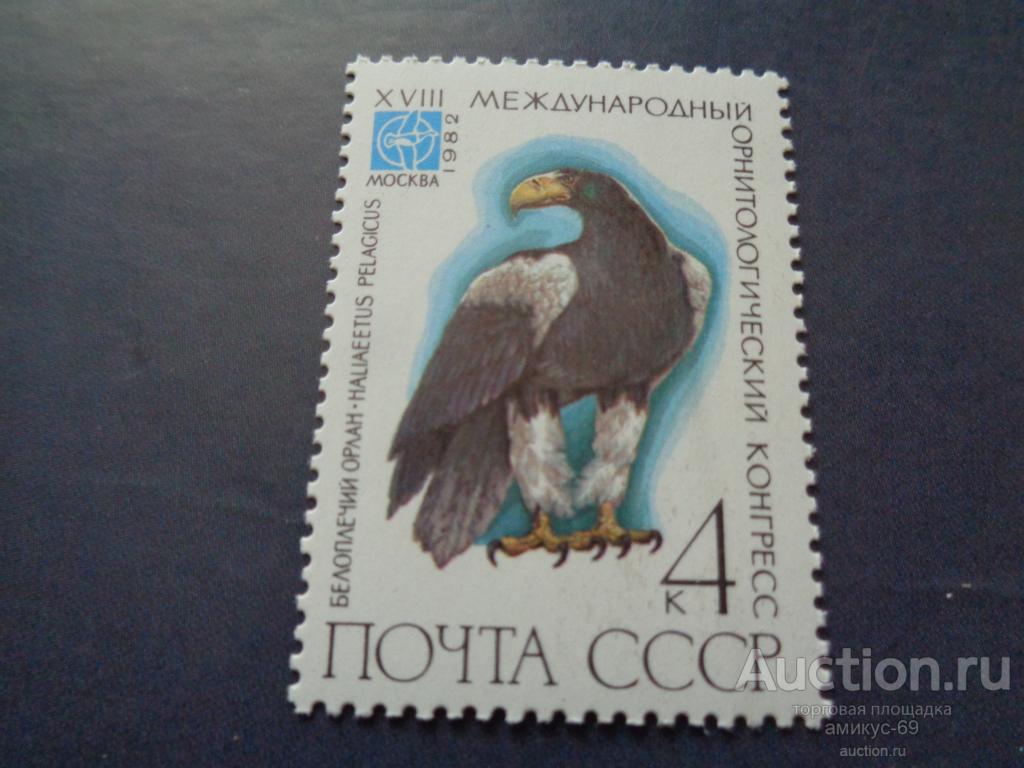 СССР  1982 г Белоплечий Орлан Конгресс   Чистая   ЧБН**