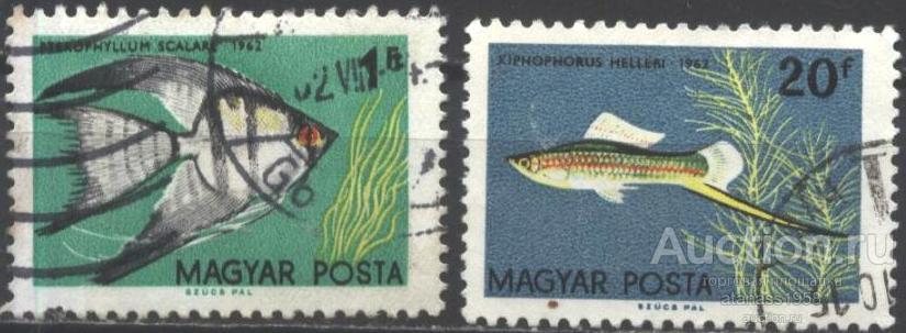 Венгрия Гашеные марки  Фауна Рыбы  1962