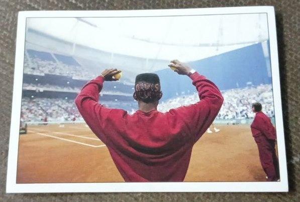 Коллекционная Карточка- Наклейка Панини, Panini, Теннис, Tennis, Италия №219