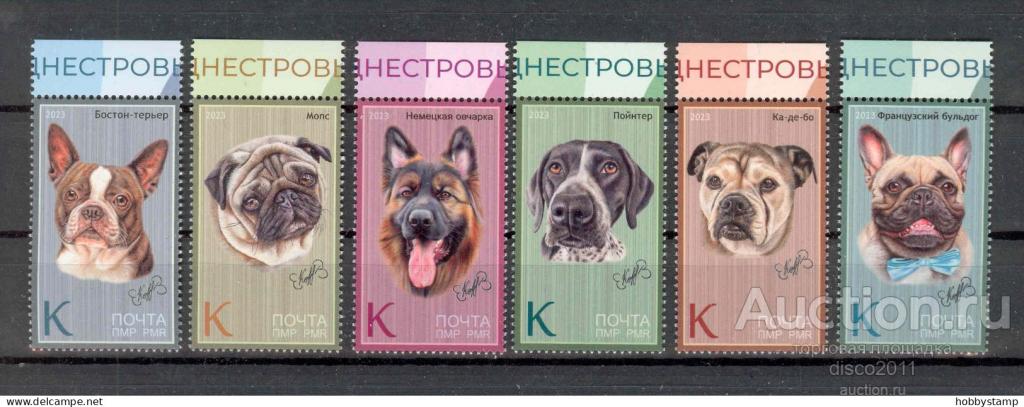 ПМР Приднестровье Молдова 2023 Собаки Домашние животные Фауна 6м**