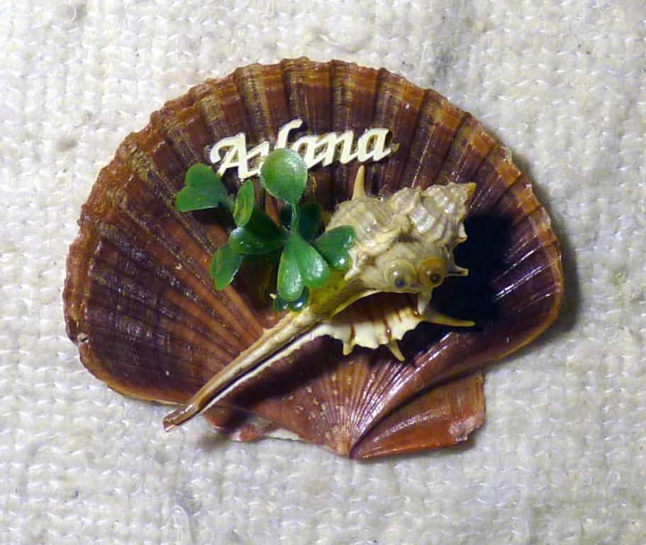 Магнит на холодильник Анапа из ракушек