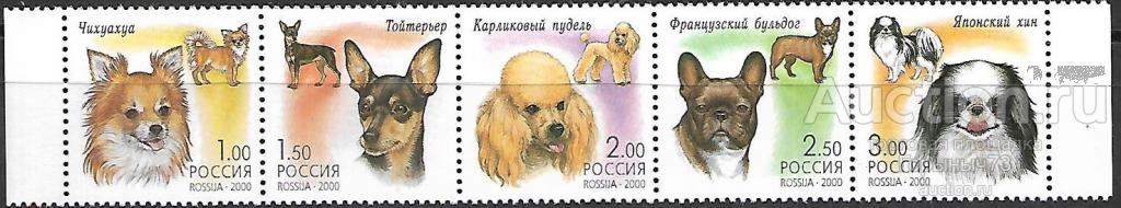 Россия 2000 пс сц MNH