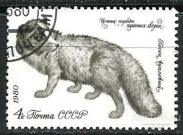 ВВ206 СССР 1980 Сол. 5087 Фауна Пушные звери Песец вуалевый гашеная