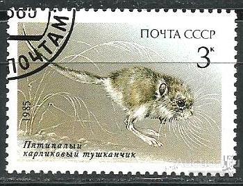 ВВ211 СССР 1985 Сол. 5659 Фауна Красная книга Пятилапый карликовый тушканчик гашеная