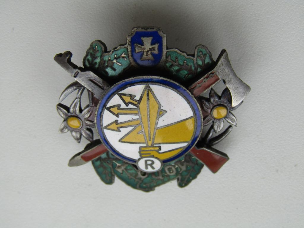 Польша. Полковой знак. 21 батальон разведки.