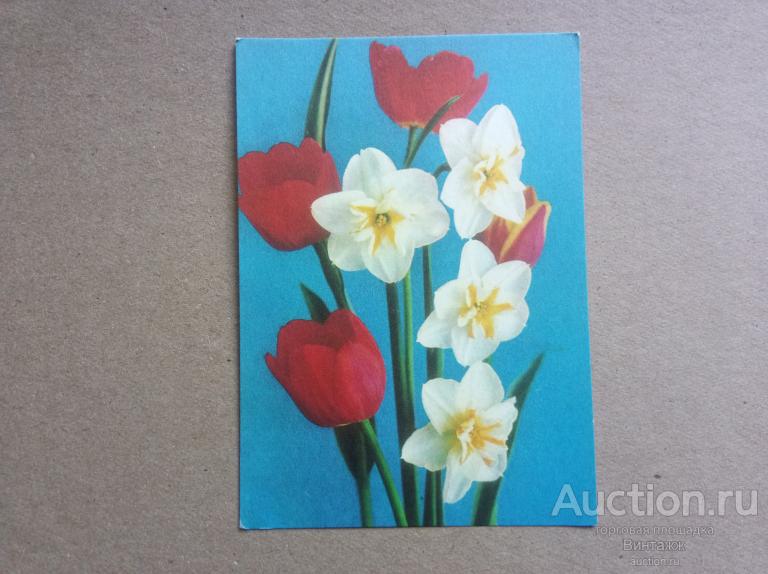 Открытка Цветы фото Костенко 1973