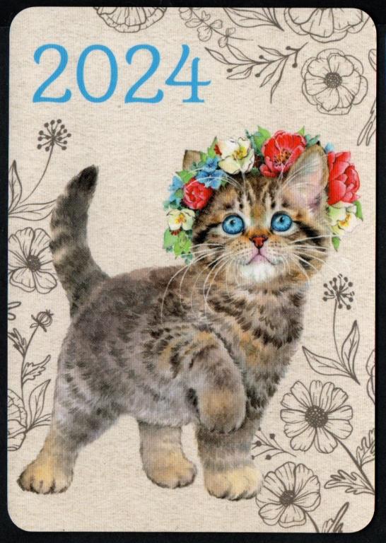 КК 2024 Котенок, рисованный. детский