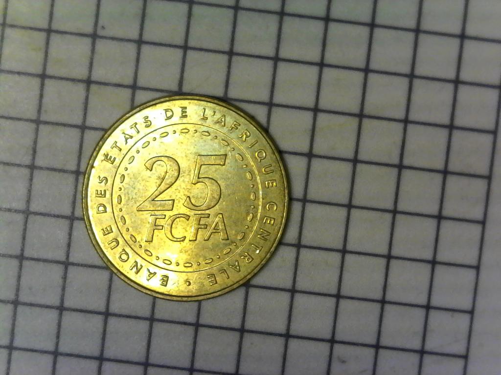25 франков 2006г., Центрально Африканские Штаты, Центральная Африка, хороший сохран, №2491