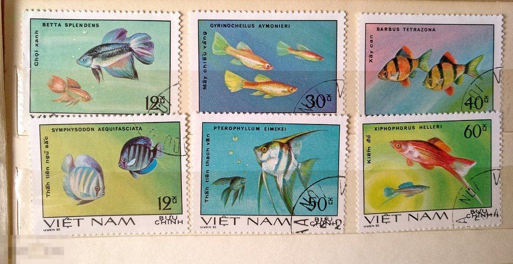 1980. Вьетнам. Рыбы. Гаш. Лот 14 