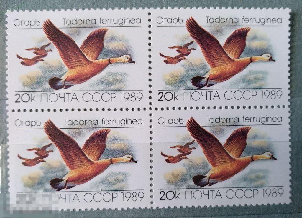 1989. СССР. Птицы. Чист. Сцепка. Лот 45 