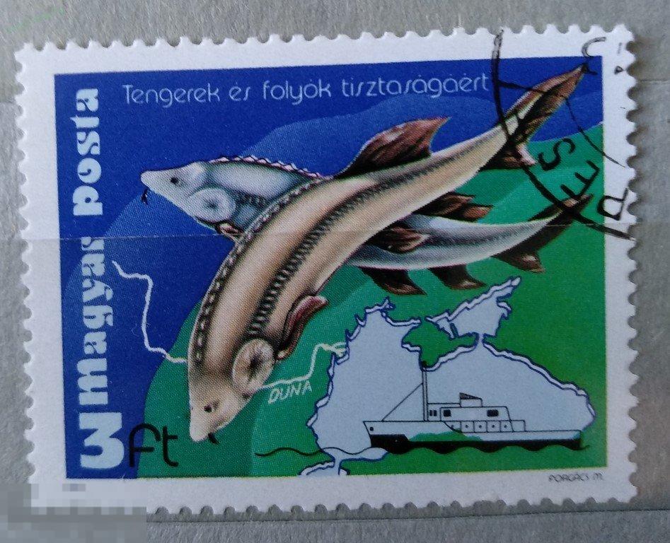 1979. Венгрия. Рыба. Гаш. Лот 3 