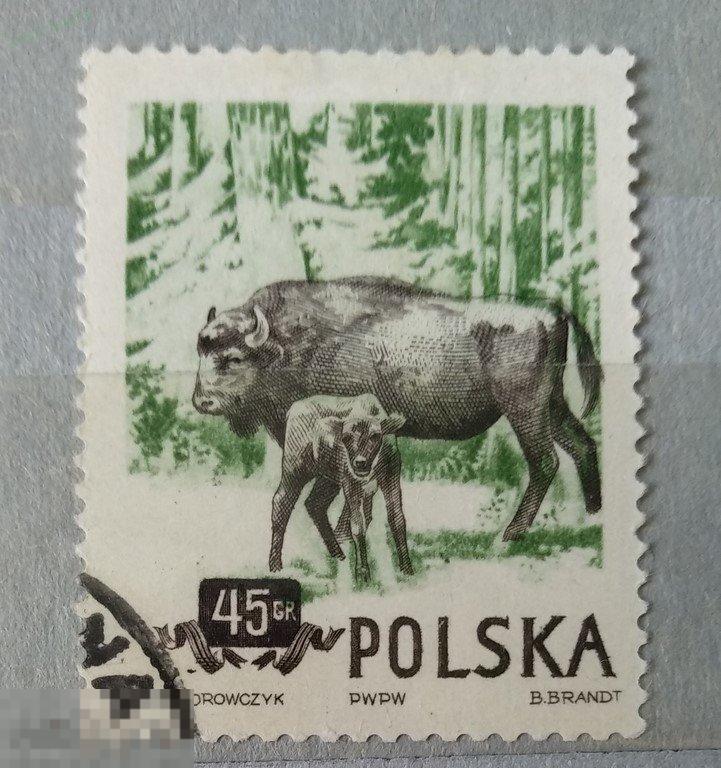 Польша. Зубр. Гаш. Лот 6 