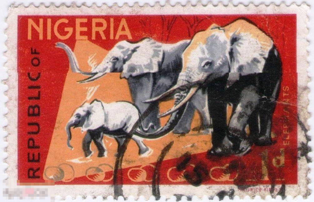 Нигерия, 1965, фауна, животные экваториальной Африки, Слоны 