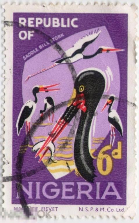 Нигерия, 1965, фауна, животные экваториальной Африки, Птицы 