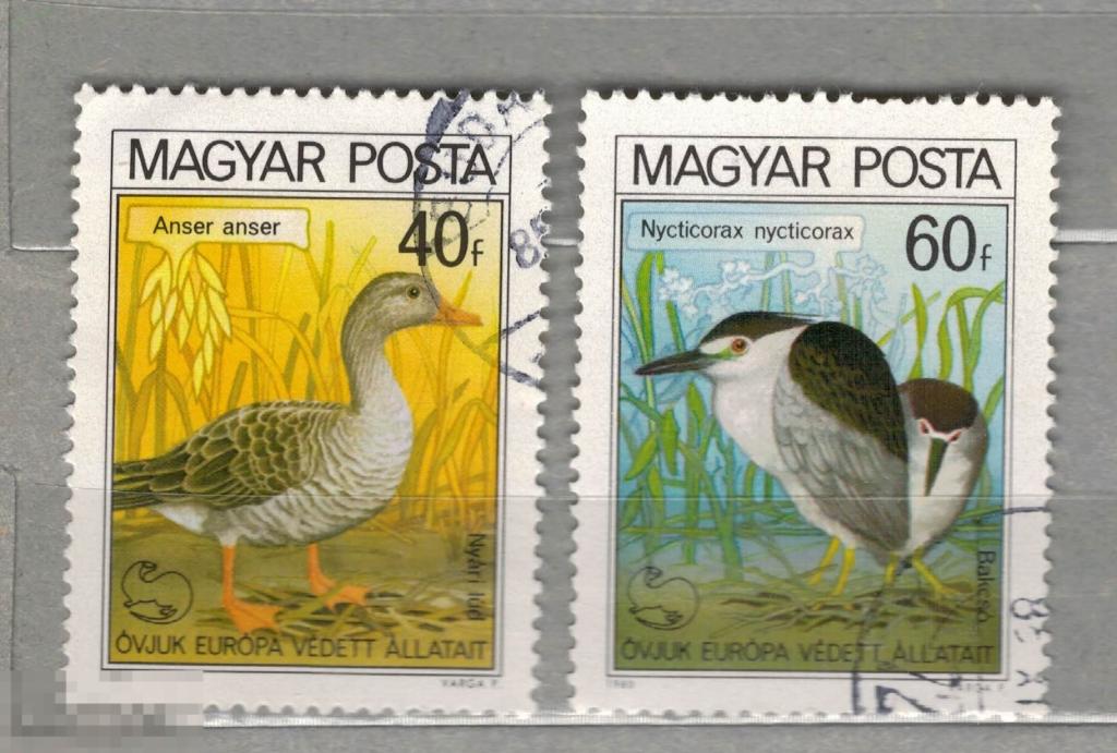 1980 2м Венгрия Фауна Птицы гаш НС 