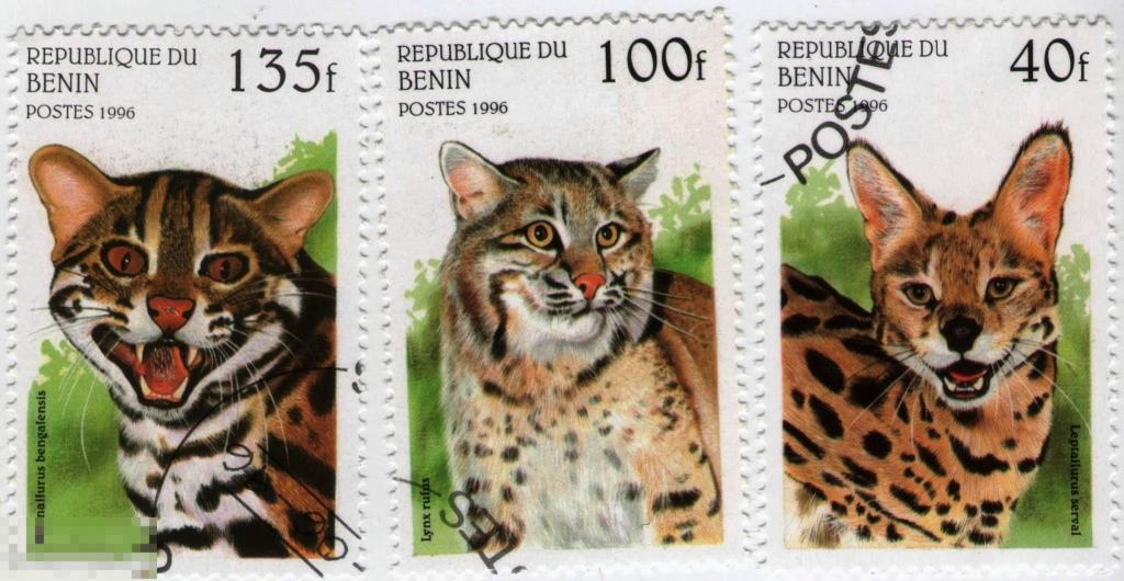 Бенин 1996 Фауна WWF Млекопитающие Хищники  Дикие кошки - 4 марки из серии 