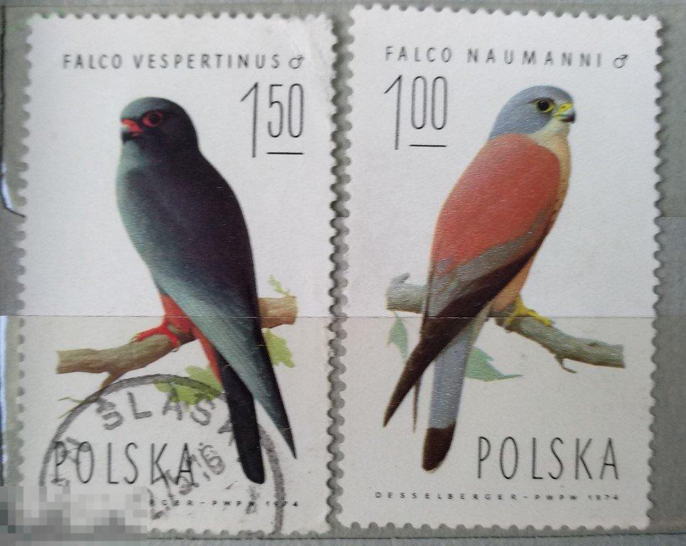 1974. Польша. Птицы. Гаш. Лот 5 
