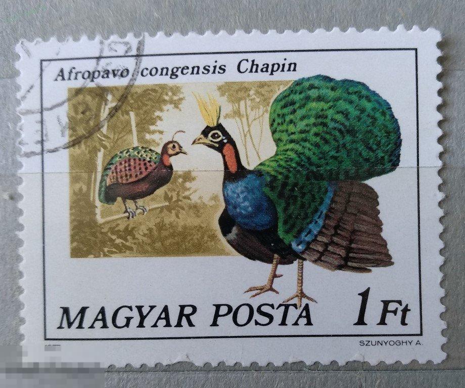 1977. Венгрия. Птицы. Гаш. Лот 2 