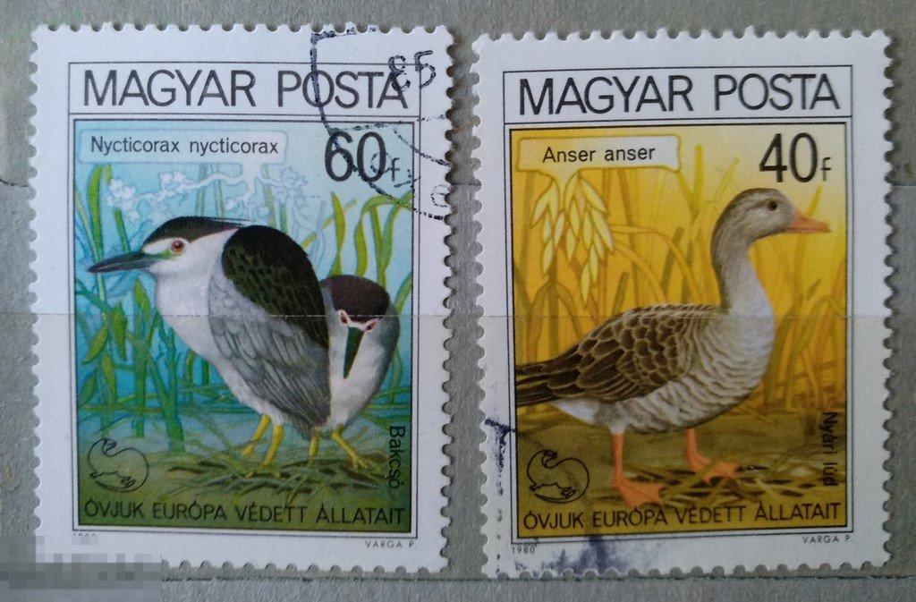 1980. Венгрия. Птицы. Гаш. Лот 6 