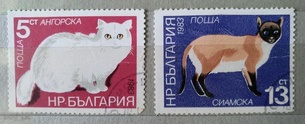 1983. Болгария. Кошки. Гаш. Лот 3 