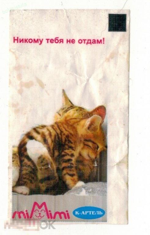 Вкладыш. Котенок 