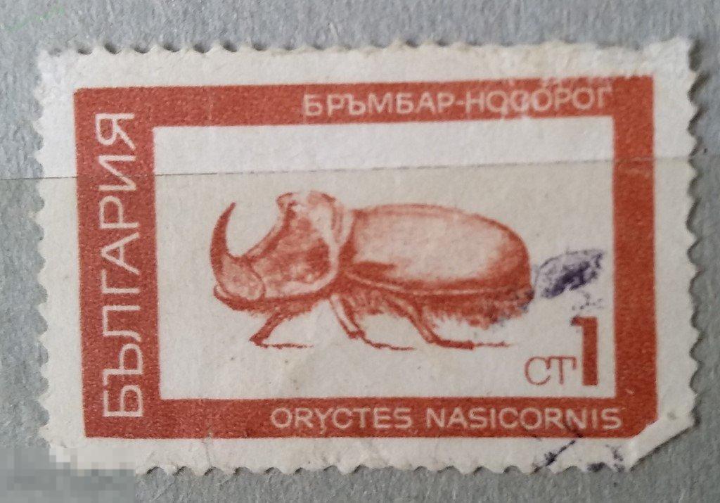 Болгария. Насекомые. Гаш. Лот 4 
