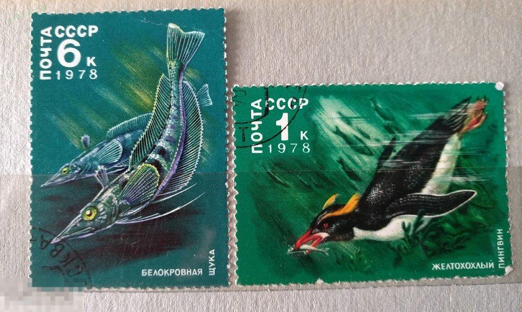 1978. СССР. Щука, пингвин. Гаш. Лот 27 