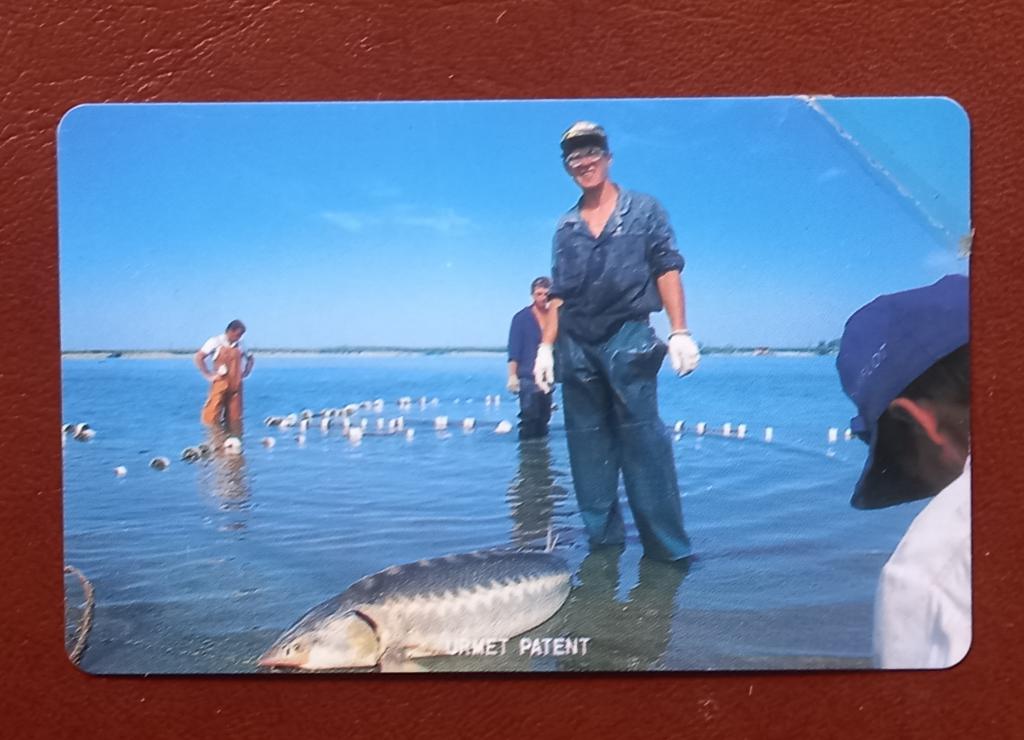 Телефонная карта  Астрахань Рыбак Урмет с уголком 50  ед - 136