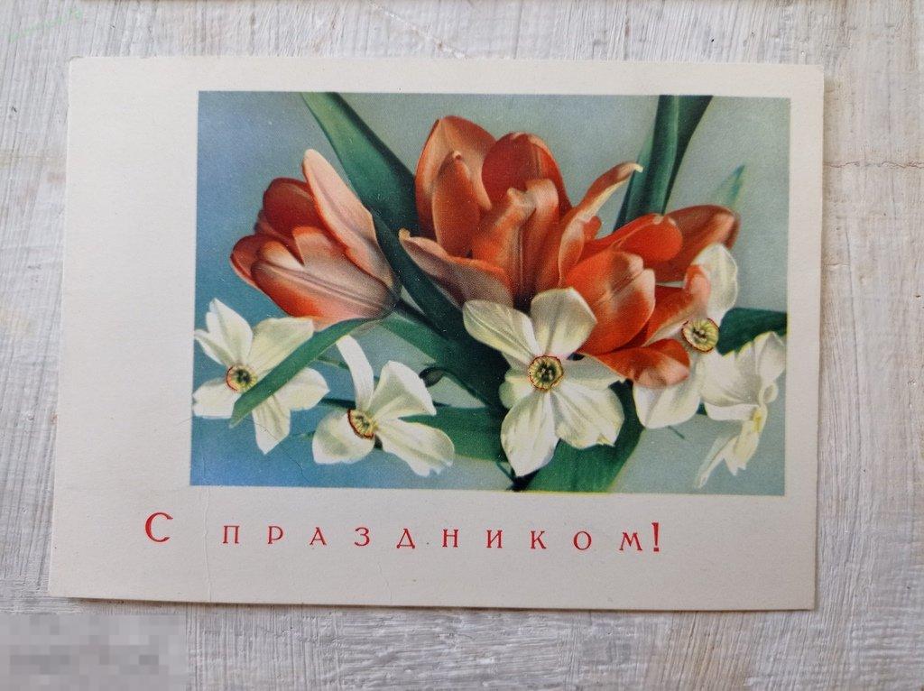 1966. С праздником!. Подписанная. Почтовая карточка 