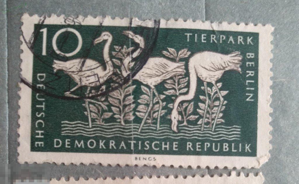 1956 ГДР Птицы Зоопарк Лот 14 Гаш 