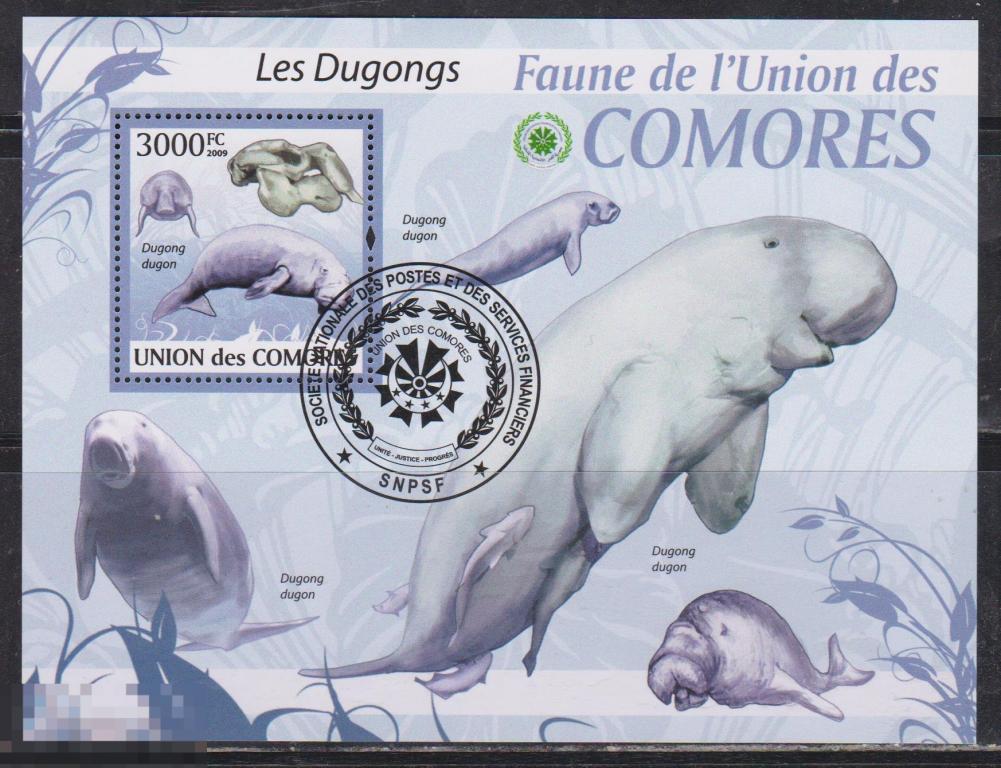 Коморы 2009 Фауна дюгонь 