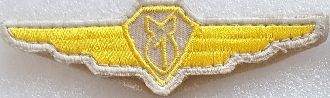 Нашивка Шеврон Авиация ВВС ВКС Пилот Квалификация