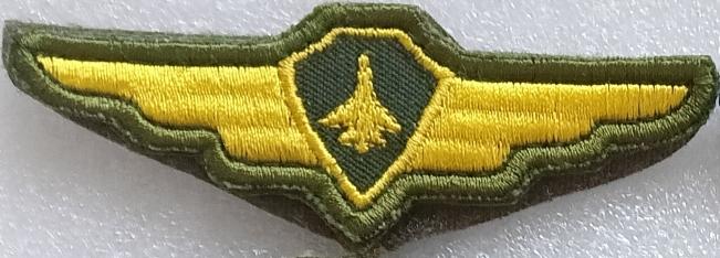 Нашивка Шеврон Авиация ВВС ВКС Пилот Квалификация