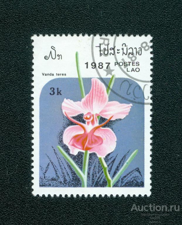 1987 г. Лаос - Орхидеи. Ванда Терес (0041е)