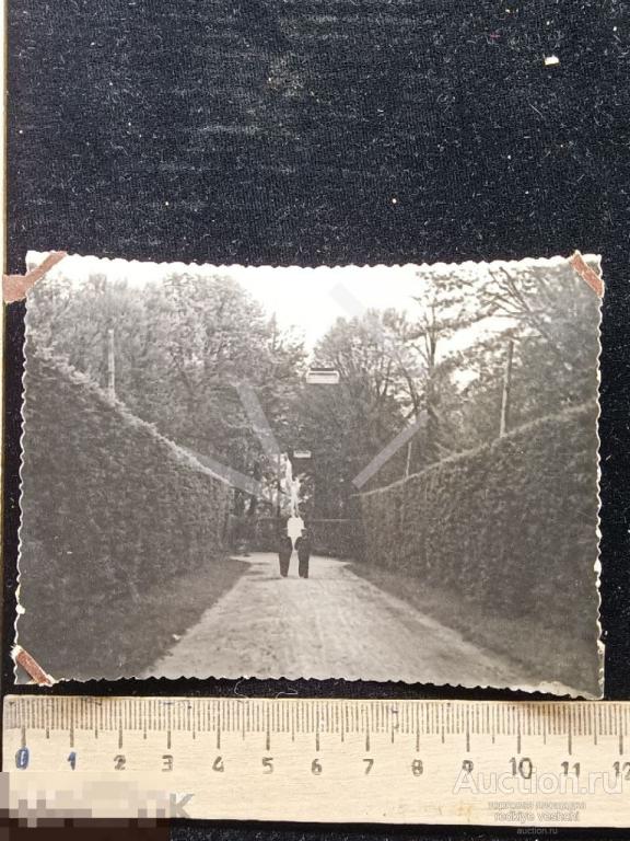 - фото Стрыйский парк Львов Украина памятник 1957 год БАФ№7 